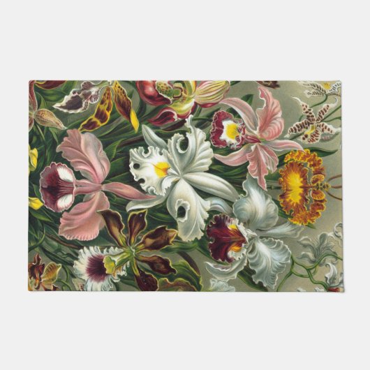 Ernst Haeckel Art Print: Orchidae Oncidiums, tulpe Deurmat (Voorkant)