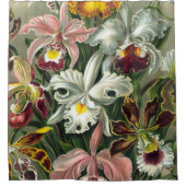 Ernst Haeckel Art Print: Orchidae Oncidiums, tulpe Douchegordijn (Voorkant)