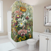 Ernst Haeckel Art Print: Orchidae Oncidiums, tulpe Douchegordijn (In situ)