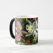 Ernst Haeckel Art Print: Orchidae Oncidiums, tulpe Magische Mok (Voorkant links)