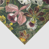 Ernst Haeckel Art Print: Orchidae Oncidiums, tulpe Tissuepapier (Detail)
