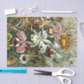 Ernst Haeckel Art Print: Orchidae Oncidiums, tulpe Tissuepapier (Craft)