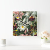 Ernst Haeckel Art Print: Orchidae Oncidiums, tulpe Vierkante Klok (Huis)