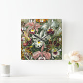 Ernst Haeckel Art Print: Orchidae Oncidiums, tulpe Vierkante Klok (Huis)