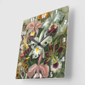 Ernst Haeckel Art Print: Orchidae Oncidiums, tulpe Vierkante Klok (Hoek)
