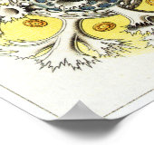 Ernst Haeckel Art Print: Polycyttaria Poster (Hoek)