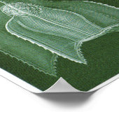 Ernst Haeckel Art Print: Siphonophorae Poster (Hoek)