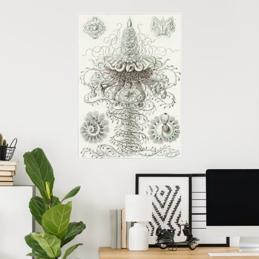 Ernst Haeckel Art Print: Siphonophorae Poster (Thuiskantoor)