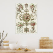 Ernst Haeckel Art Print: Trachomedusae Poster (Keuken)