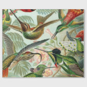 Ernst Haeckel Art Print: Trochilidae Cadeaupapier (Vlak)
