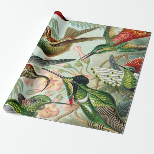 Ernst Haeckel Art Print: Trochilidae Cadeaupapier (Uitgerold)