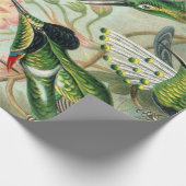 Ernst Haeckel Art Print: Trochilidae Cadeaupapier (Hoek)