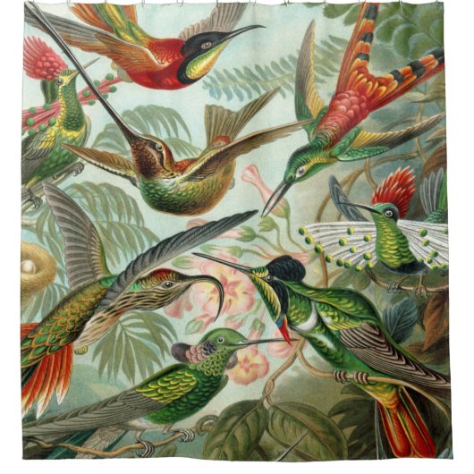 Ernst Haeckel Art Print: Trochilidae Douchegordijn (Voorkant)