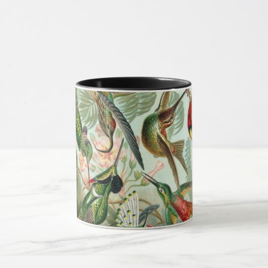 Ernst Haeckel Art Print: Trochilidae Mok (Midden)