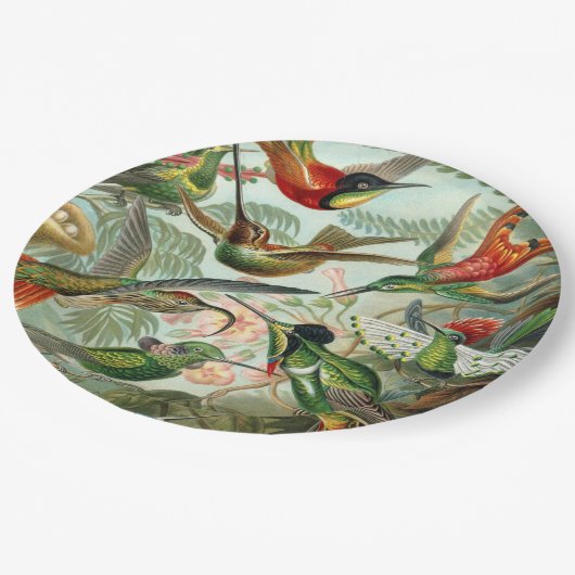Ernst Haeckel Art Print: Trochilidae Papieren Bordje (Gekanteld)