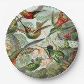 Ernst Haeckel Art Print: Trochilidae Papieren Bordje (Voorkant)