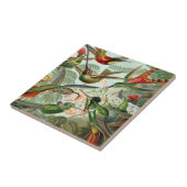 Ernst Haeckel Art Print: Trochilidae Tegeltje (Zijkant)