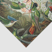 Ernst Haeckel Art Print: Trochilidae Tissuepapier (Detail)