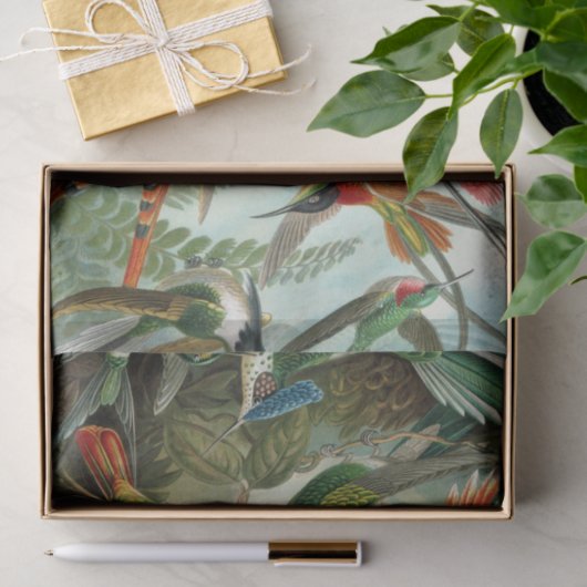 Ernst Haeckel Art Print: Trochilidae Tissuepapier (Geschenk)