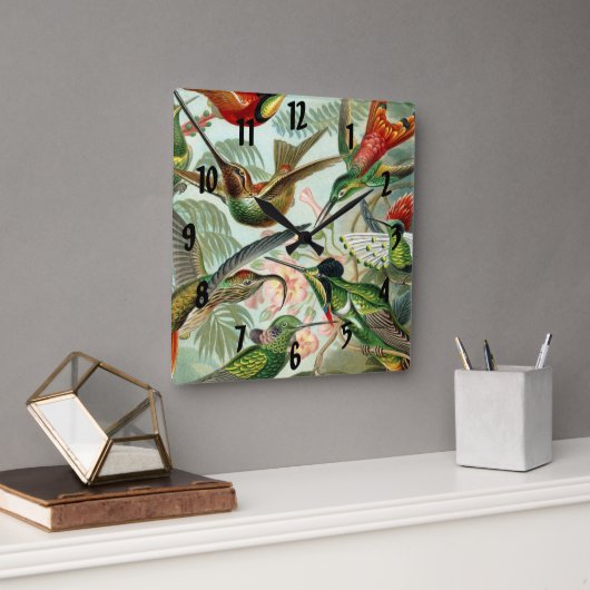 Ernst Haeckel Art Print: Trochilidae Vierkante Klok (Kantoor)