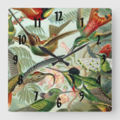 Ernst Haeckel Art Print: Trochilidae Vierkante Klok (Voorkant)
