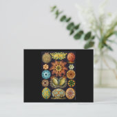 Ernst Haeckel Ascidiae Briefkaart (Staand voorkant)