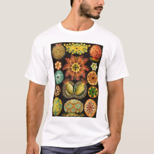 Ernst Haeckel - Ascidiae T-shirt