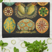 Ernst Haeckel Ascidiae Zee levensillustratie Theedoek (Gevouwen)