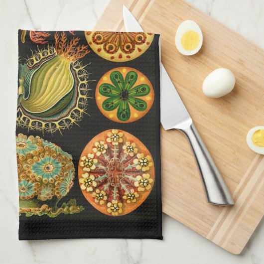 Ernst Haeckel Ascidiae Zee levensillustratie Theedoek (Quarter Fold)