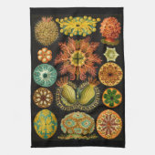 Ernst Haeckel Ascidiae Zee levensillustratie Theedoek (Verticaal)