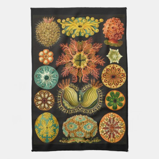 Ernst Haeckel Ascidiae Zee levensillustratie Theedoek (Verticaal)