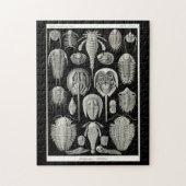 Ernst Haeckel Aspidonia Legpuzzel (Verticaal)