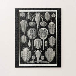 Ernst Haeckel Aspidonia Legpuzzel