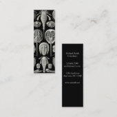 Ernst Haeckel Aspidonia Mini Visitekaartje (Voorkant / Achterkant)