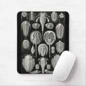 Ernst Haeckel - Aspidonia Muismat (Met muis)