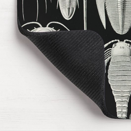 Ernst Haeckel Aspidonia Muismat (Hoek)