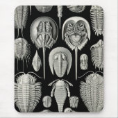 Ernst Haeckel Aspidonia Muismat (Voorkant)