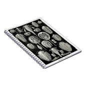 Ernst Haeckel Aspidonia Notitieboek (Rechterzijde)