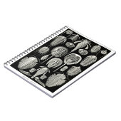 Ernst Haeckel Aspidonia Notitieboek (Linkerzijde)