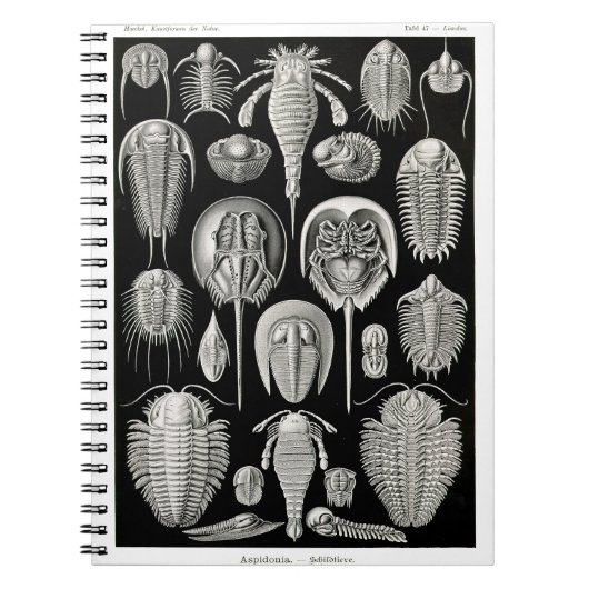 Ernst Haeckel Aspidonia Notitieboek (Voorkant)