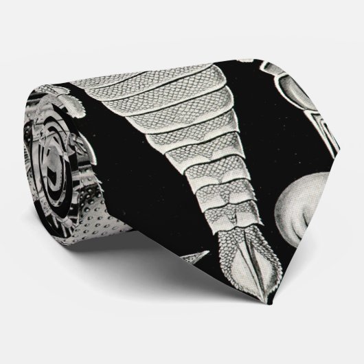 Ernst Haeckel Aspidonia Stropdas (Opgerold)