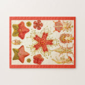 Ernst Haeckel Asteridea Legpuzzel (Horizontaal)