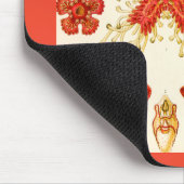 Ernst Haeckel Asteridea Muismat (Hoek)