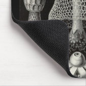 Ernst Haeckel - Basimycetes paddenstoelen Muismat (Hoek)