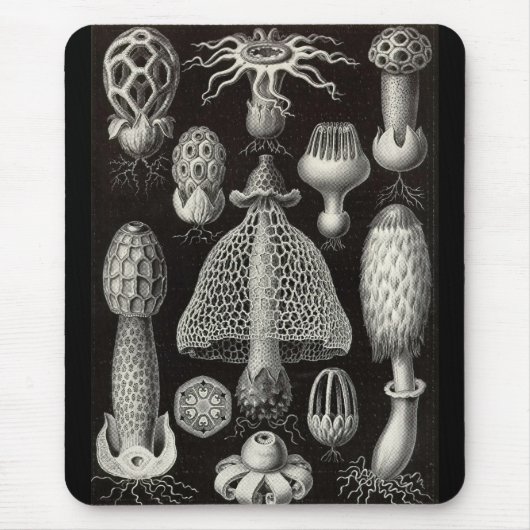 Ernst Haeckel - Basimycetes paddenstoelen Muismat (Voorkant)