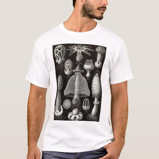 Ernst Haeckel - Basimycetes paddenstoelen T-shirt (Voorkant)