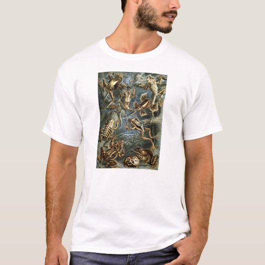 Ernst Haeckel - Batrachia T-shirt (Voorkant)