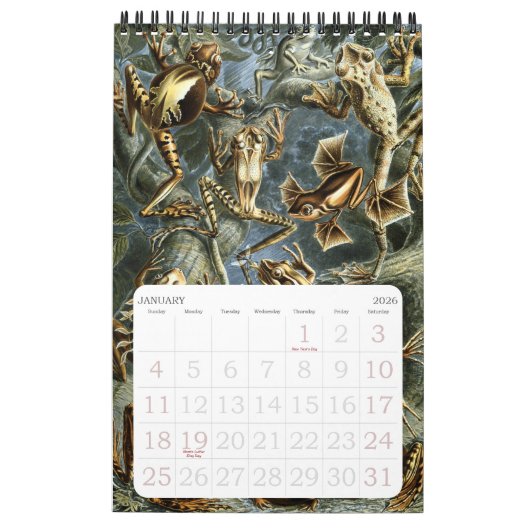 Ernst Haeckel, Biology, Botany, Science Ca Kalender (Jan 2026)