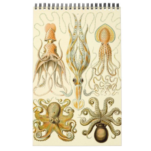 Ernst Haeckel, Biology, Botany, Science Ca Kalender (Hoes)