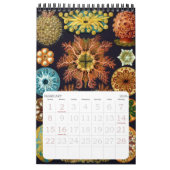 Ernst Haeckel, Biology, Botany, Science Ca Kalender (Feb 2026)